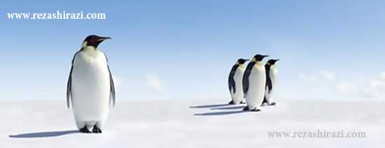 پنگوئن 3.0 و رفتارهای آن